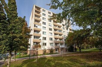 Na prenájom 3-izbový byt v Malackách