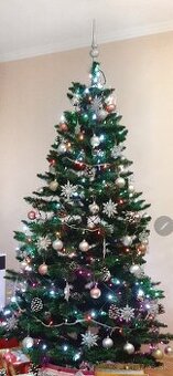 Predám zachovalý vianočný stromček, výška cca 2m