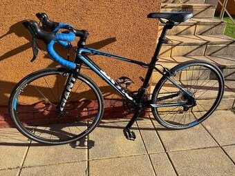 Giant TCR 24”