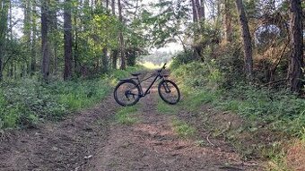 Rockrider explore 500