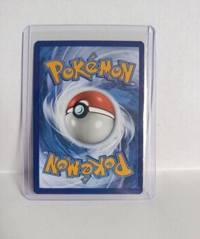 Chien-Pao Pokémon