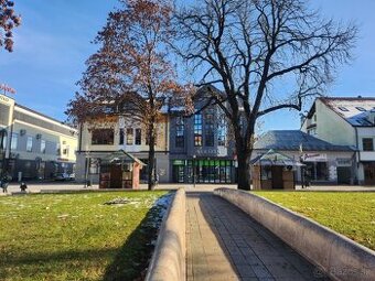 komerčné alebo skladové priestory - Pešia Zóna Centrum MT