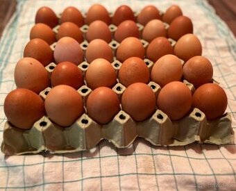 Domáce vajíčka