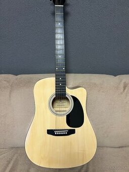 Elektro akustická gitara