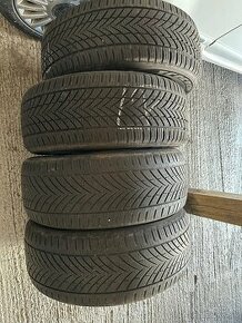 Celorocne pneu R17
