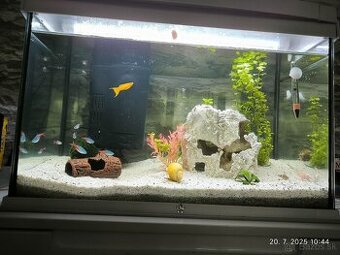 Predaj akvária s doplnkami.