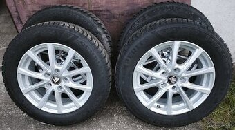 5x112,r16,ALUTEC,6,5J,et46-205/60-Semperit-2025-8mm