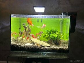 Akvarium 25l s filtrom svetlom a rybickami