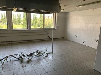 Kuchyňa/pripravovňa jedál na rozvoz 132,58m2, Kopčianska-Pet