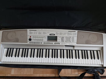 Yamaha DGX-300