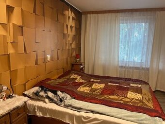 Veľký dvojizbový byt s balkónom vo Veľkom krtisi