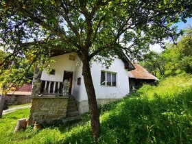 41222-Rekreačný dom/chata Povina- Tatarovci, pozemok 789 m