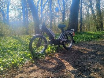 Babetta 210