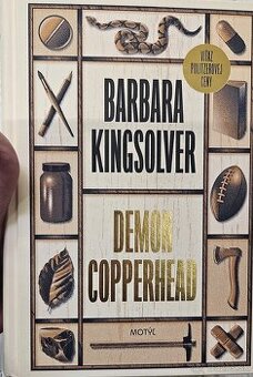 Kniha "Demon Copperhead"