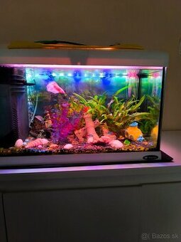 Komplet Akvárium s rybickami.50l..