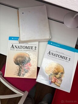 Anatómia Čihák