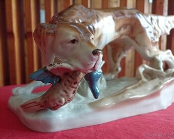 Royal dux - polovnicky pes