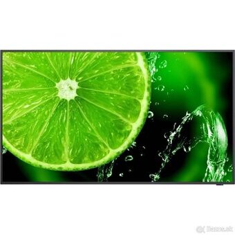 32” display Nec E328