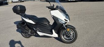 Maxon Optimus 125