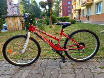 Bicykel Leader Fox Buffalo girl 24"
