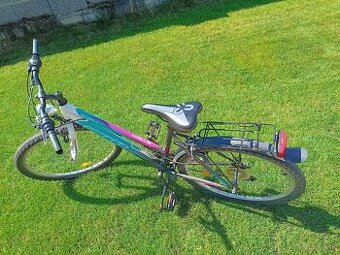 Dámsky bicykel - 1