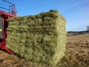 SENO - Štvorcové balíky - krásne, nezmoknuté, prvé kosenie