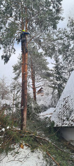 Pilenie a orezavanie stromov - rizikove