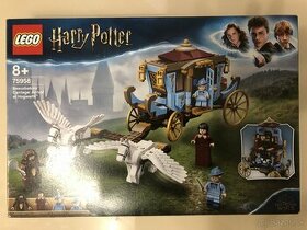 LEGO® Harry Potter™ 75958 Kočiar z Beauxbatonsu - 1