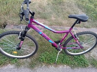 Bicykel DHS