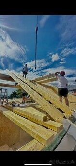 Výstavba panelových drevodomov práca na hale v produkcii