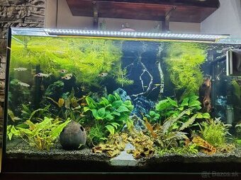 Akva 126l, svetlo, filter