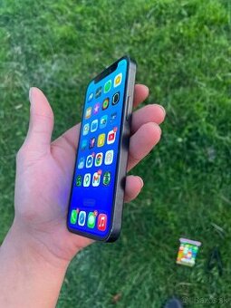 Predam iphone 12 mini