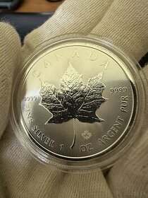 Strieborna minca Maple leaf 1 Oz 2024