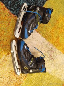 Korčule na ľad Fila 38-41