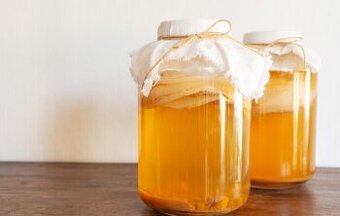Kombucha /návod, čaj, huba/