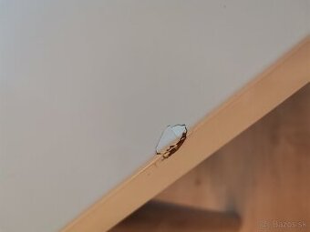 Kuchynský stôl a 3 stoličky