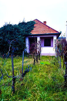 IBA U NÁS Chata, vinohrad, pivnica, vinič, Bátorové Kosihy