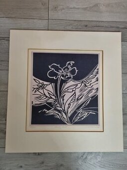 Grafika Stanislav Kollarik - Osamely kvet