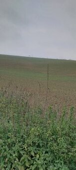 na predaj pozemok Nitra - Kynek