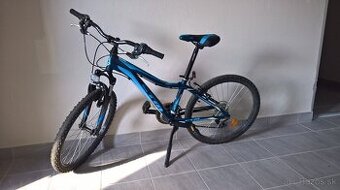 CTM Rocky 2.0 24"