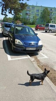 Honda Civic 7g 1.6 vtec