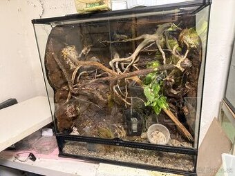 Terarium exoterra 90x90x45