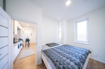 2,5i apartmán v centre BA