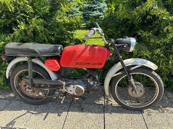 Jawa mustang