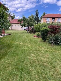 Kosenie pozemkov – vysoká tráva, náletové dreviny, pravideln