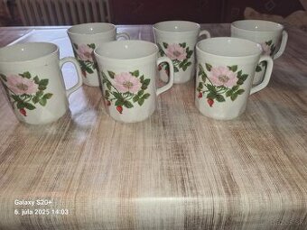 Šálky  so šípkami na čaj