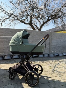 Cybex leaf