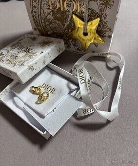 DIOR stud earrings