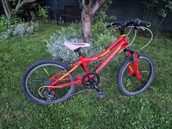 Detský bicykel 20" Harry