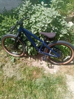 SPECIALIZED P.1 GLOSS deep 20"